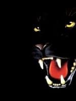 AntiDaze для WoW cataclysm 4.0.* AntiDaze для WoW cataclysm 4.0.*