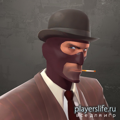 Плагин AdminSpy Плагин AdminSpy