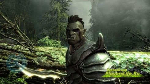Превью игры Elder Scrolls 5: Skyrim Превью игры Elder Scrolls 5: Skyrim