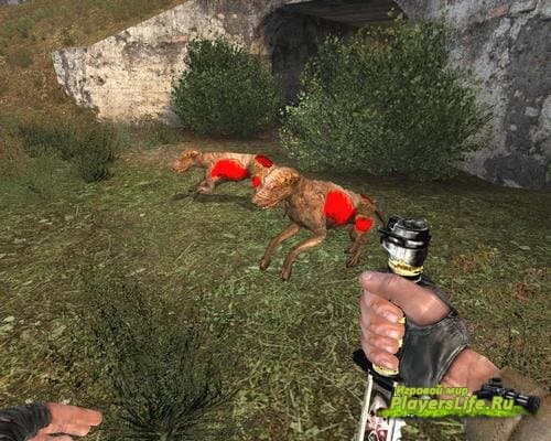 Чёрный отряд v1.0 для СТАЛКЕРА Чёрный отряд v1.0 для СТАЛКЕРА