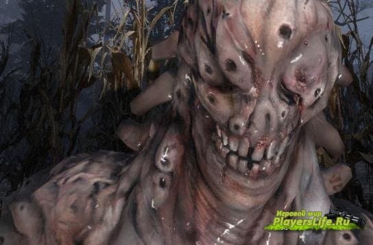 Лепотица из Resident Evil 6 для Left 4 Dead 2 Лепотица из Resident Evil 6 для Left 4 Dead 2