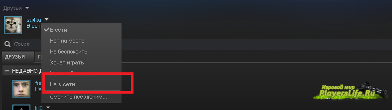 Как сделать в steam чтобы не было ника 646