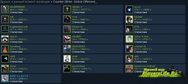 (STEAM)Как сделать чтобы друзья не видели во что я играю? (STEAM)Как сделать чтобы друзья не видели во что я играю?